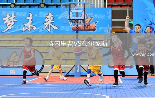 特内里费VS布尔戈斯